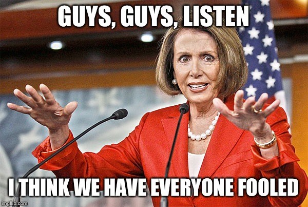 Once and Future House Speaker Nancy Pelosi (D-CA) says, 